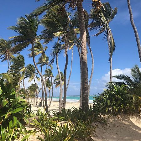 Art Villa Dominicana Punta Cana Exterior photo