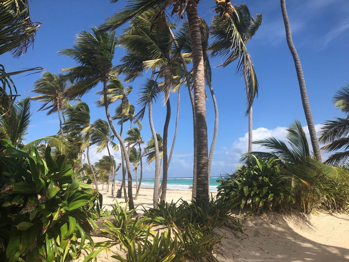 Art Villa Dominicana Punta Cana Exterior photo